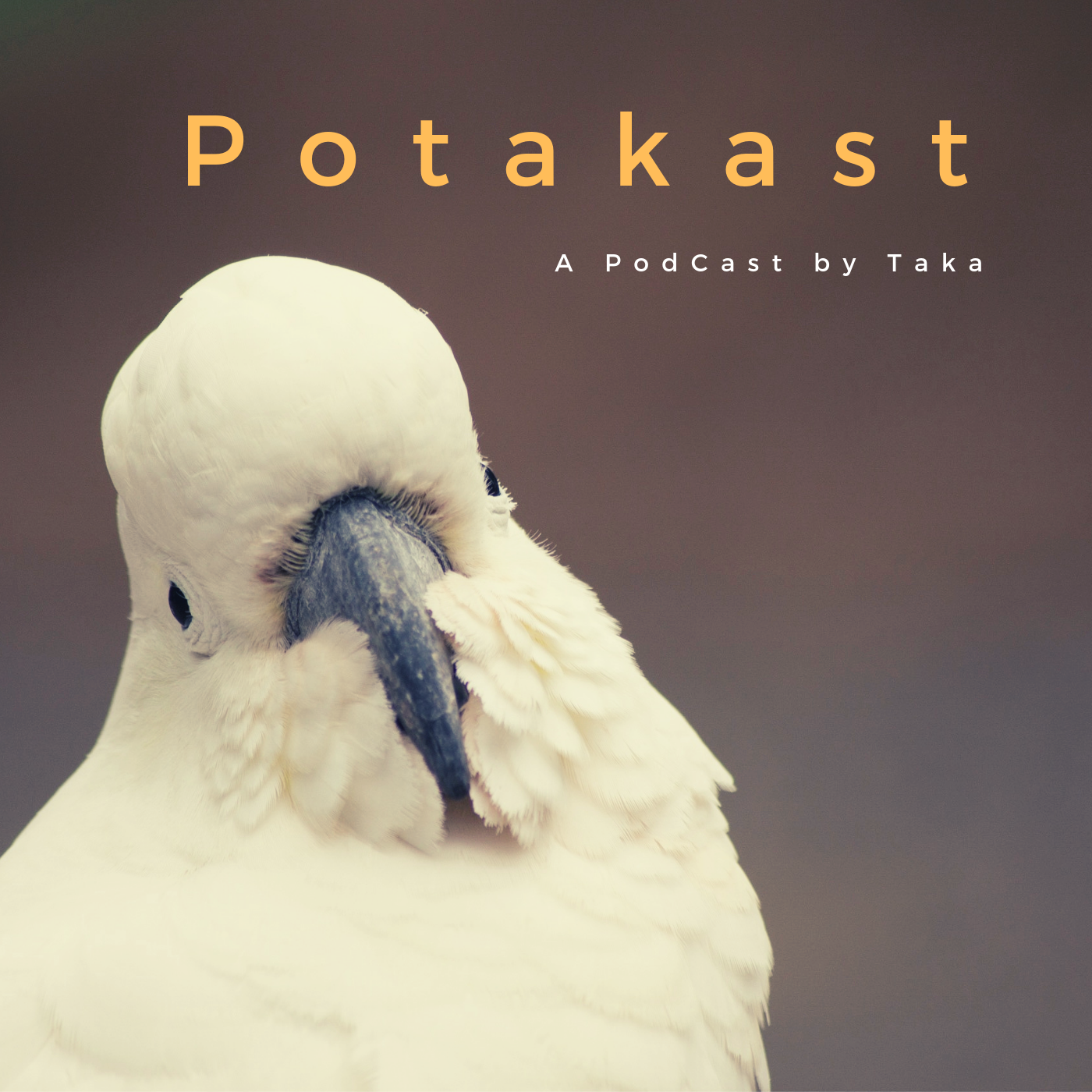 potakast cover